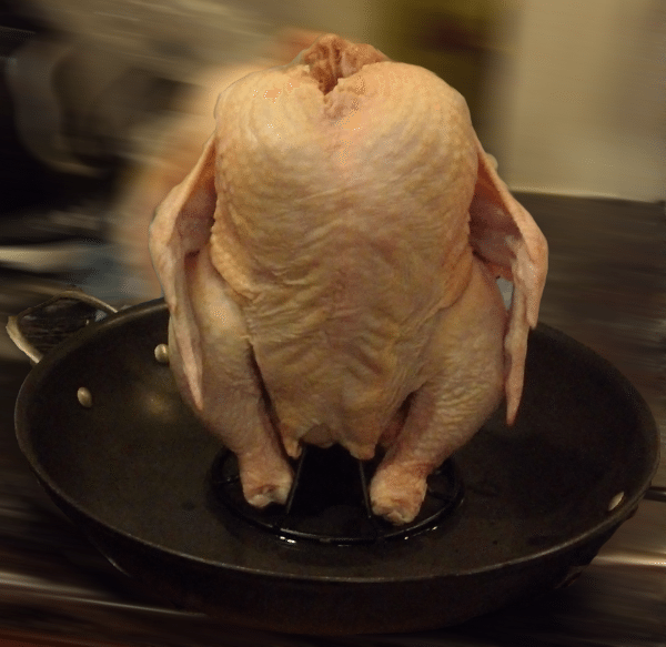 Chicken with head cut off