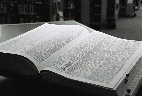 Dictionary by greeblie, on Flickr
