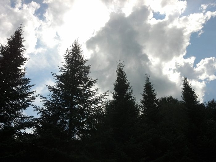 trees-sun-sky-clouds-aspire