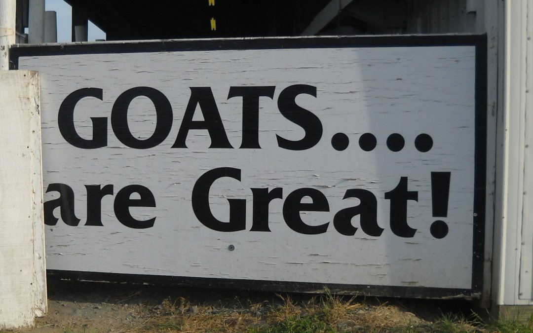 Goats are Great