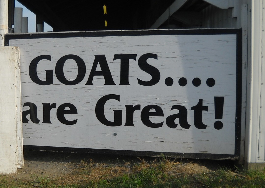 Goats are Great