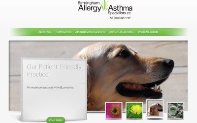 Website and enhanced local online presence for Birmingham Allergy & Asthma