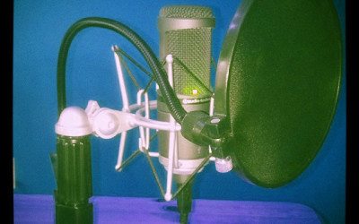 GoatCloud SEO Podcast Episode 22: On WAMC Vox Pop Nov 18