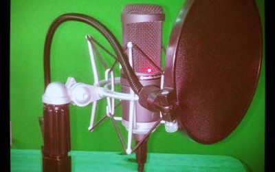 GoatCloud SEO Podcast Episode 20: On WAMC Vox Pop May 13