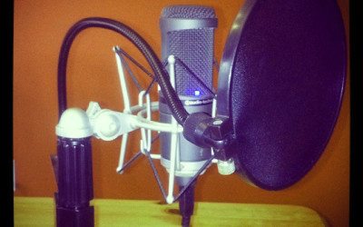 GoatCloud SEO Podcast Episode 23: On WAMC Vox Pop May 11