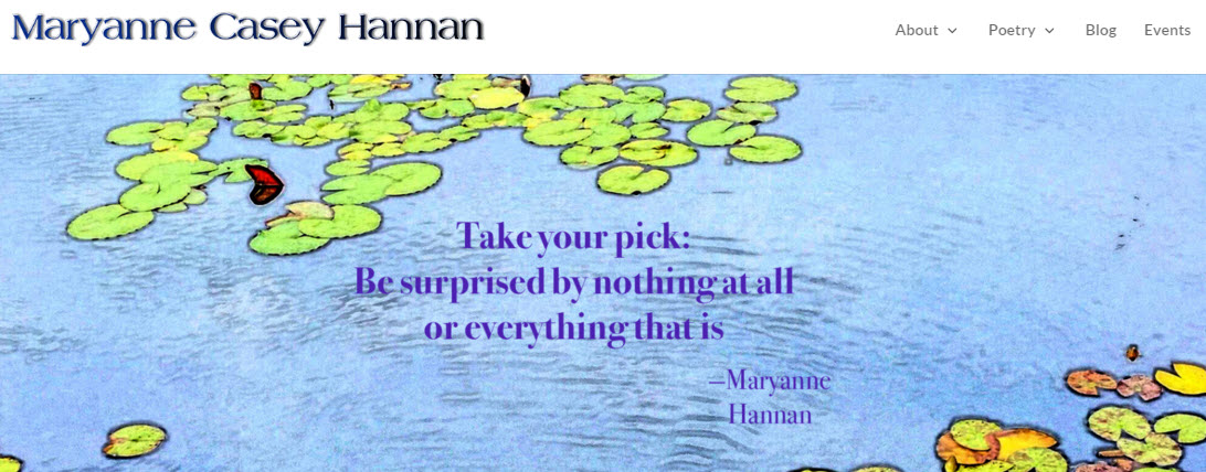 maryanne hannan website screenshot