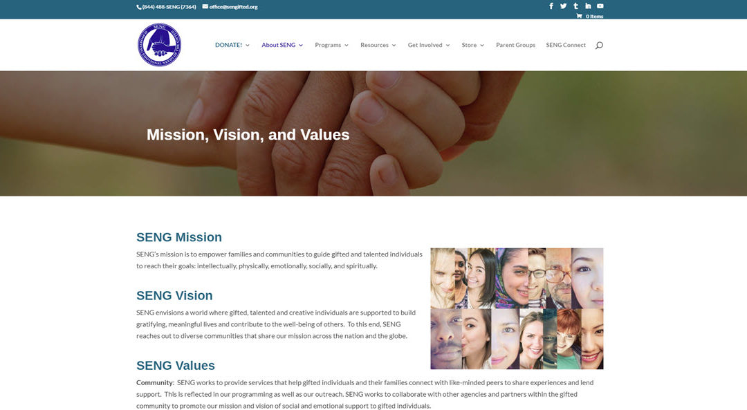 Revamped WordPress website for SENG Non-profit
