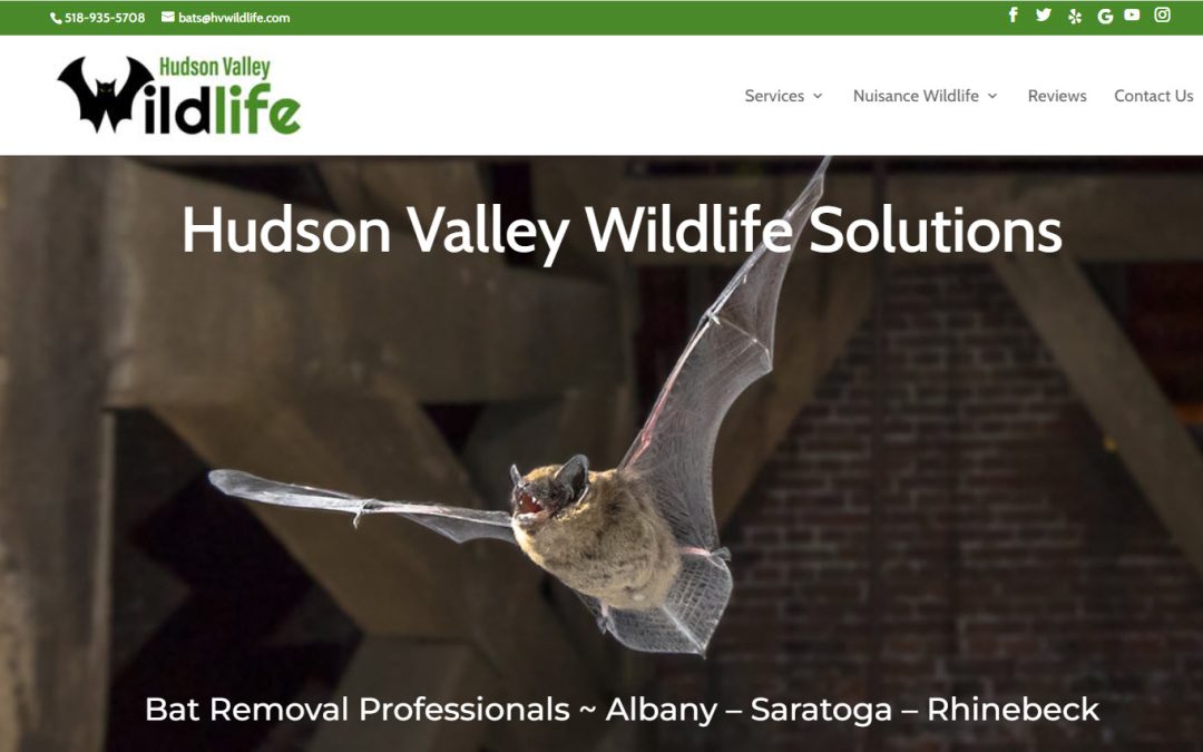 hudson valley wildlife solutions screenshot