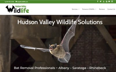 Joomla to WordPress Website Conversion for Nuisance Wildlife Removal Company