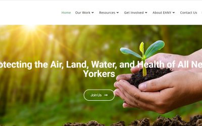 Drupal to WordPress Website Conversion for Environmental Non-Profit