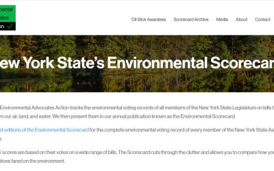 Revamped WordPress Website for Environmental Non-Profit