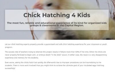 New WordPress Website for Chick Hatching For Kids