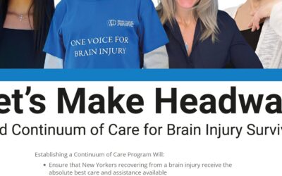 Brain Injury Association of New York – Letter Writing Campaign Site